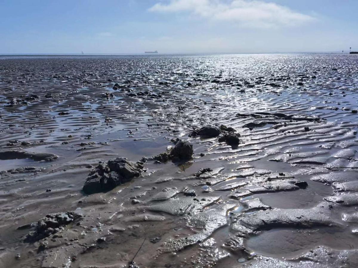 Schaake Schillig-Strandnahe Wohlfuehloase Mit Modernem Flair Und Kostenlosem Parken Exteriér fotografie